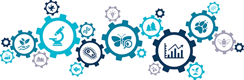 Vistkerfi nýsköpunar